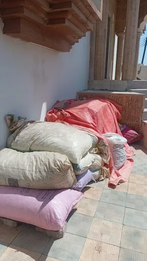 للبيع نفيعت تمر ممتاز للمواشي جواني كبار الجونيه 5ريال