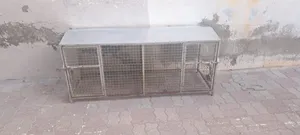 قفص شبك معدني متين بدلفين/بابين وسقف غير نافذ للماء (مناسب للدجاج والطيور للبيع)