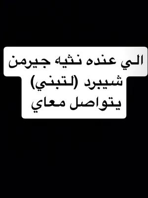 الي عنده نثيه جيرمن شيبرد (لتبني)  يتواصل معاي علي الواتس اب او على البرنامج