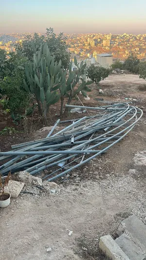 بيت بلاستك