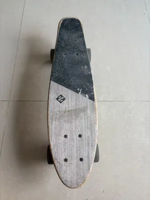 Street surfing penny board