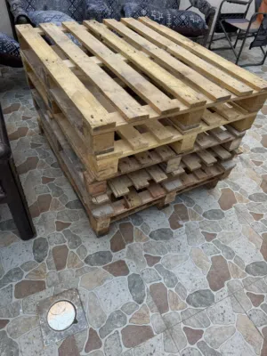 طبيليات عدد 6 بلاش
