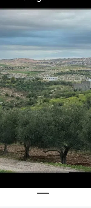 في اجمل المواقع غرب اربد ارض بمساحه 5 دونمات و 400 متر تقع في منطقه جبليه مرتفعه ذات تضاريس انسايبه