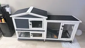 ارنوب 5 اشهر