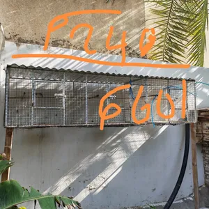 للبيع محاكر للطيور