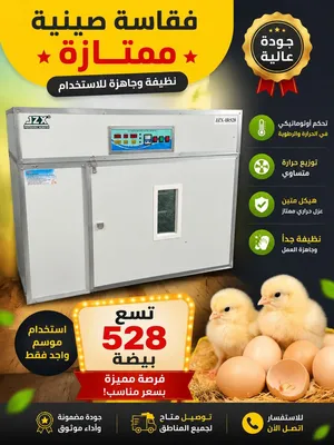 فقاسه شبه جديد