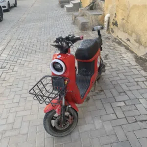 درجة شحن صني