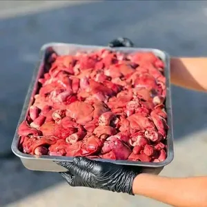 كبدة دجاج وطني