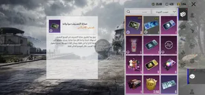 Pubg Accounts and Characters for Sale in Tripoli