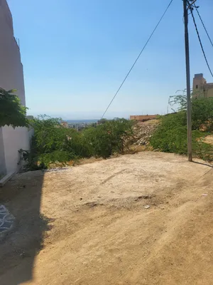 أرض استثمارية مميزة في البحر الميت