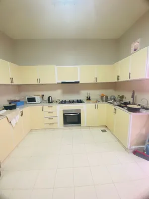 Aluminum kitchen cabinets new and hinges changed