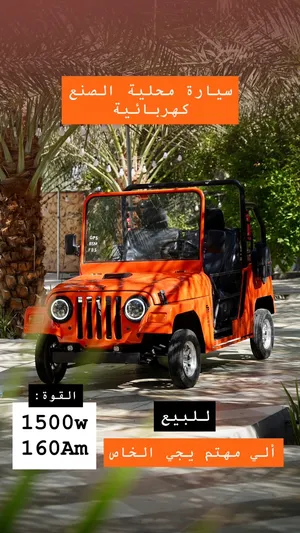 جيب كهربائي جميل