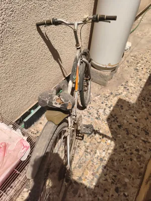 بايسكل عدل