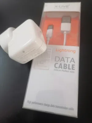 Apple adapter + cable for iPhone
