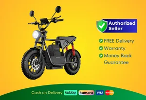 Wind Horse Electric Bike 750W 50KM Range 32KM Speed, D1