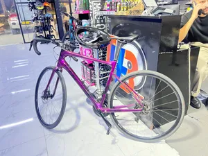 Liv-Gaint  shimano105