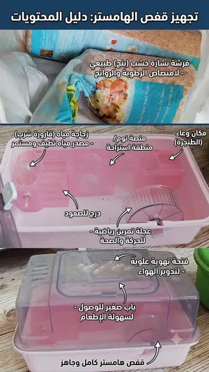 قفص هامستر و نشارة خشب و رمل
