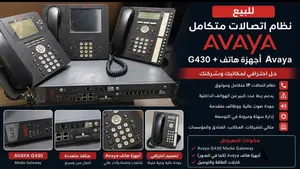 Avaya System