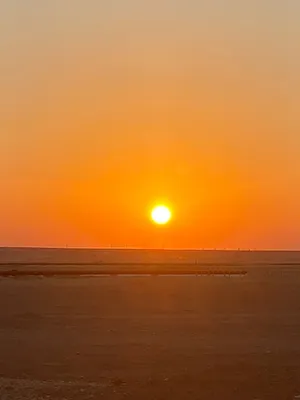 ماذونيات مقاولات ومطاعم جاهزه