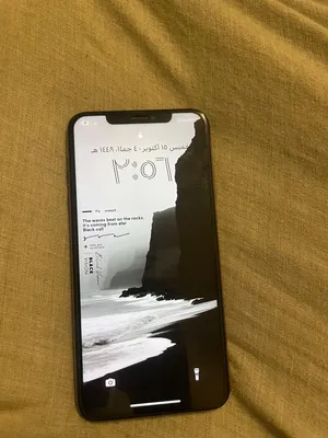 Apple iPhone XS Max 256 GB in Al Batinah
