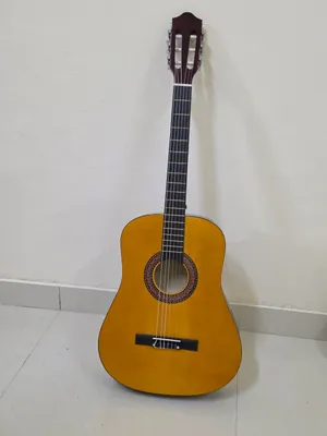 This is an Acoustic Classical Guitar (also called a Spanish Guitar).