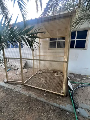 قفص كبير للطيور او الدجاج