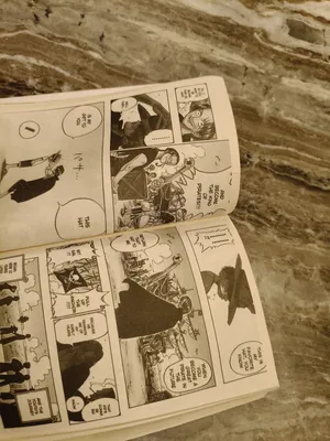 volume 1 one piece manga