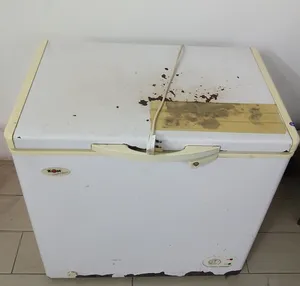 Freezer in excellent condition, price 15 dinars (final price)