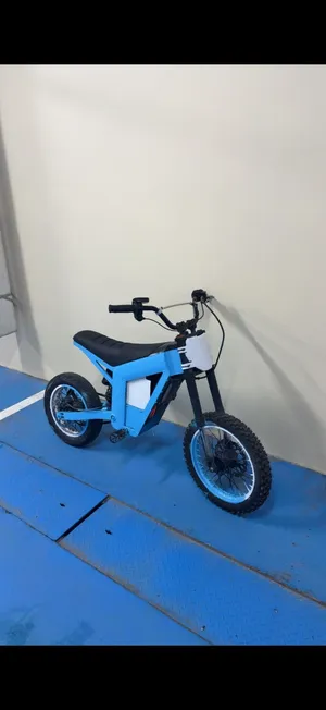 Custom Kugoo Wish 01 SE
