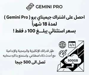 Gemini pro 18month