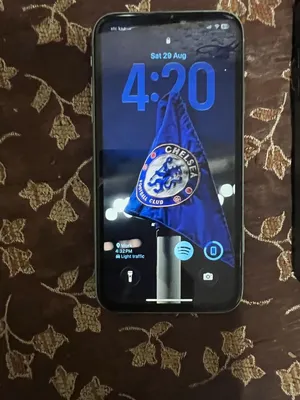 Iphone 11 regular