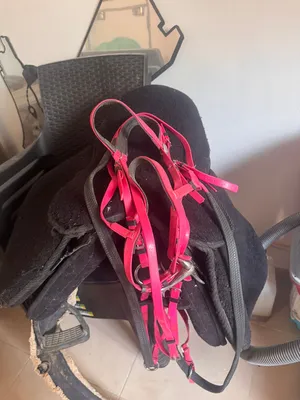 سرج ستاتس مع كفر صوف ولجام للبيع