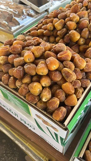 سكري جلكسي انتاج السنه1448 عضوي