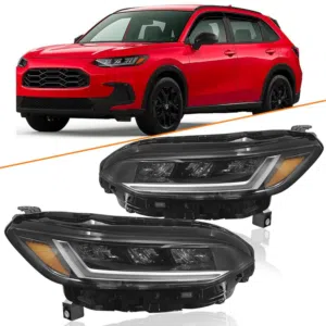 Head light and body parts