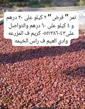 تمر من مزرعتي نوع تمر فرض 2كيلو با 30 درهم