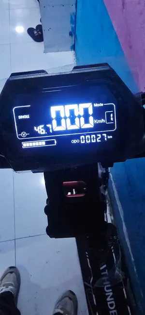Electric scooter thunderbird  Dual disc brake bluetooth speaker