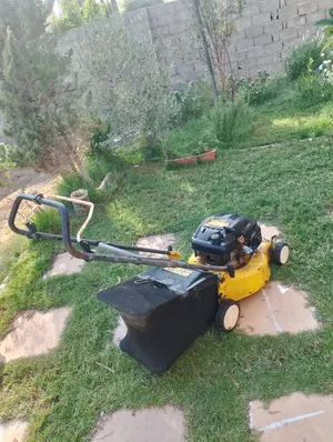 حصادة العشب كزيوني