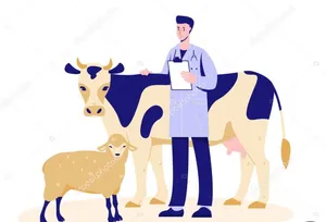 طبيب بيطرى خبرة