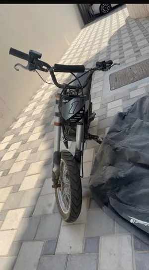 Kugoo wish 01 clean one peg bent and the front suspension need. Replacing