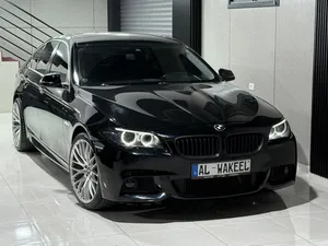 BMV 2015 528 245 HB
