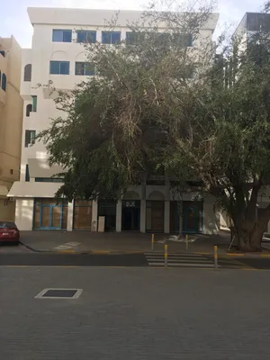مطلوب شاب عربي ملتزم للمشاركة في السكن