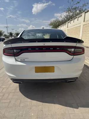 دوج تشارجر sxt 2019 وارد امريكي نظيف للبيع