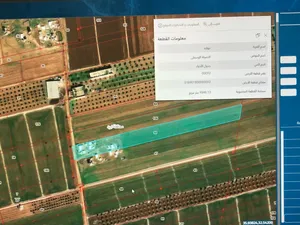 ارض في حواره للبيع غير مفروزه