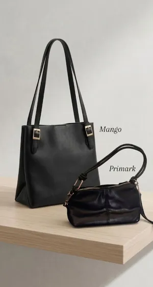 Mango & Primark Handbag