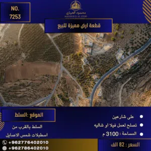 إعلان رقم (7253) فرصة استثمارية مميزة في السلط – اطلاله على بحر الميت!