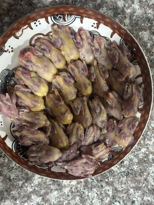 عصفور التين طازج