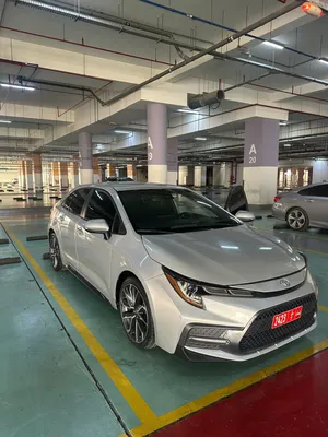T50 economy & luxury car rental نوفر جميع السيارات الاقتصادية و الفاخرة باسعار تنافسيه