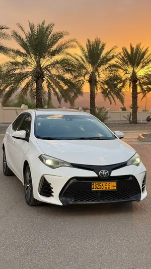 Used Toyota Corolla in Muscat