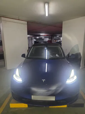تيسلا موديل y    TESLA MODEL Y  performance