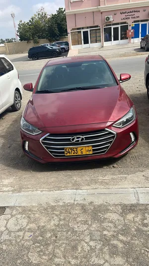 Elantra-17